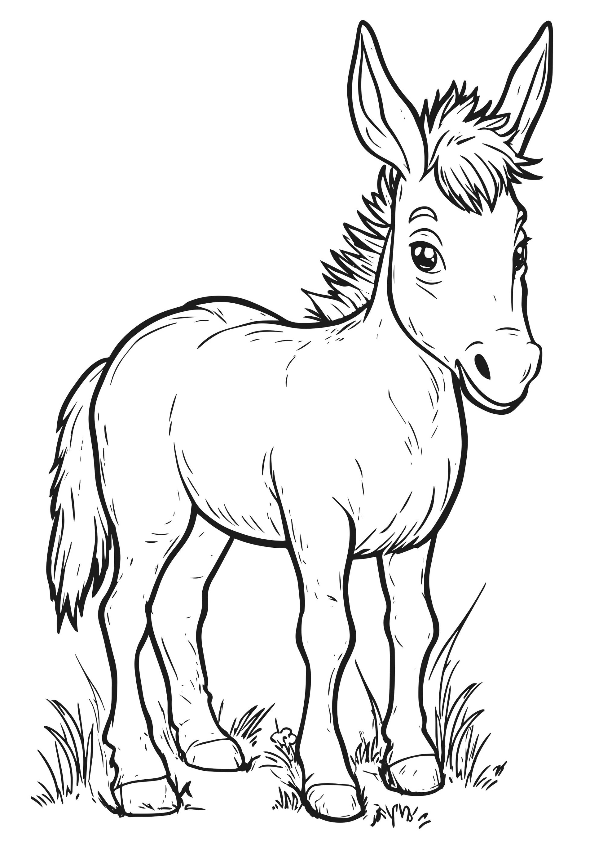 Farm Friends XXL Coloring Book  Page