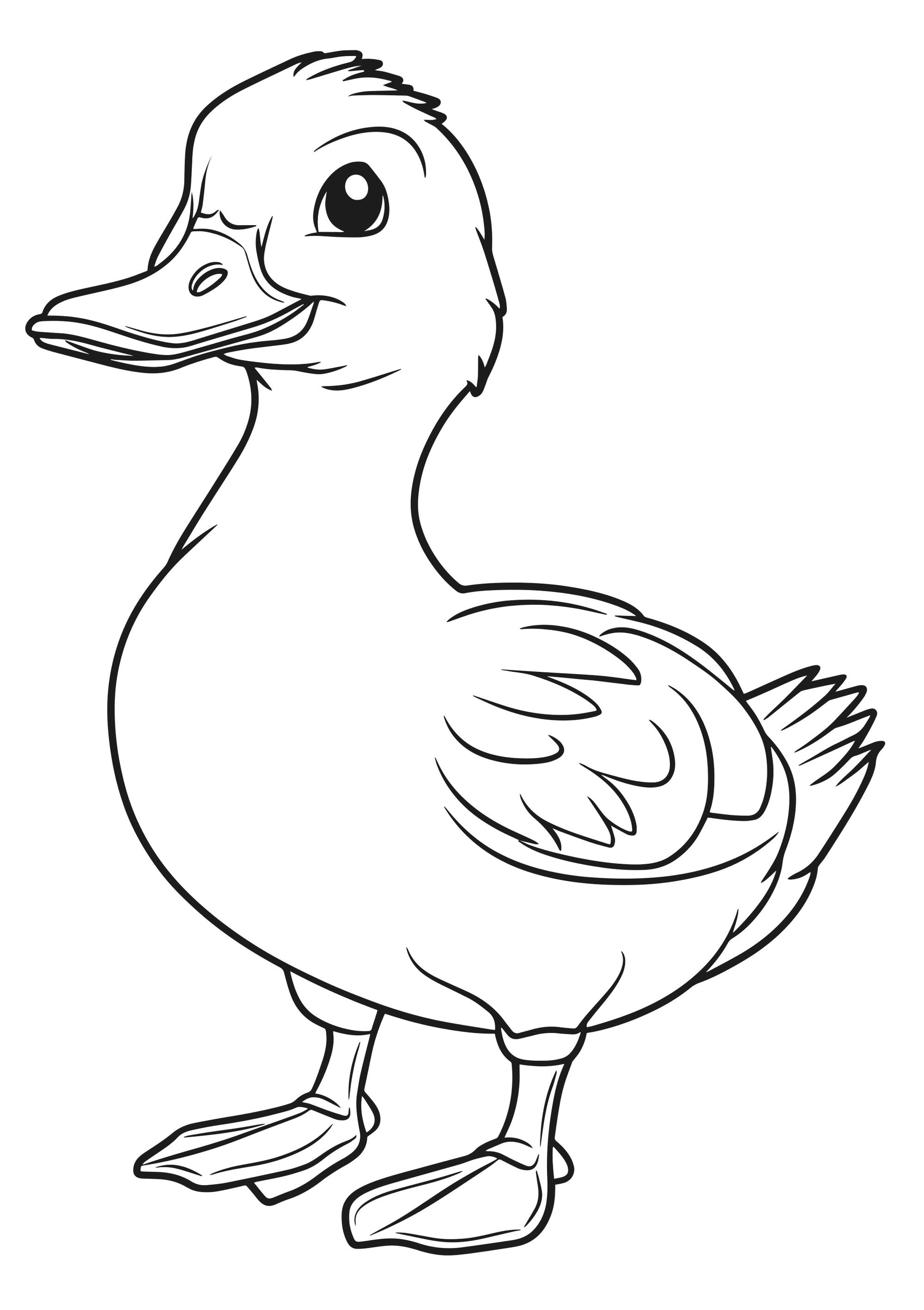 Farm Friends XXL Coloring Book Duck Page