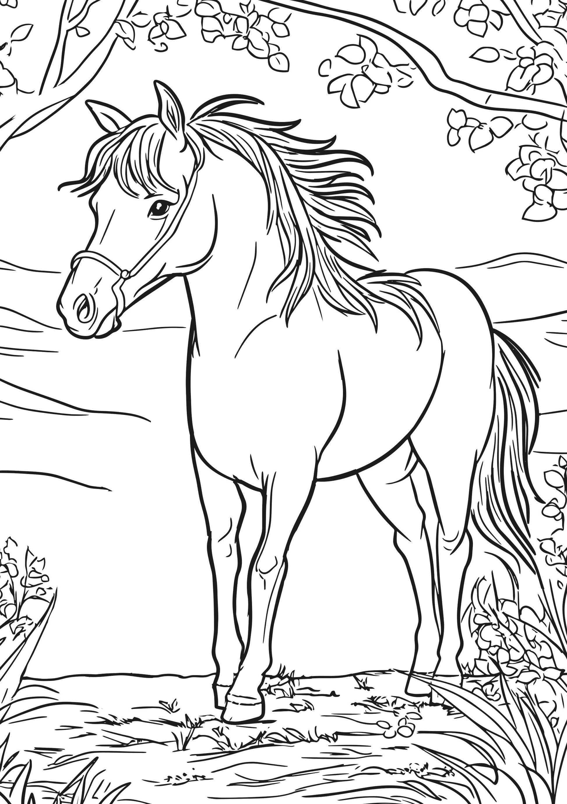 Farm Friends XXL Coloring Book Horse  Page