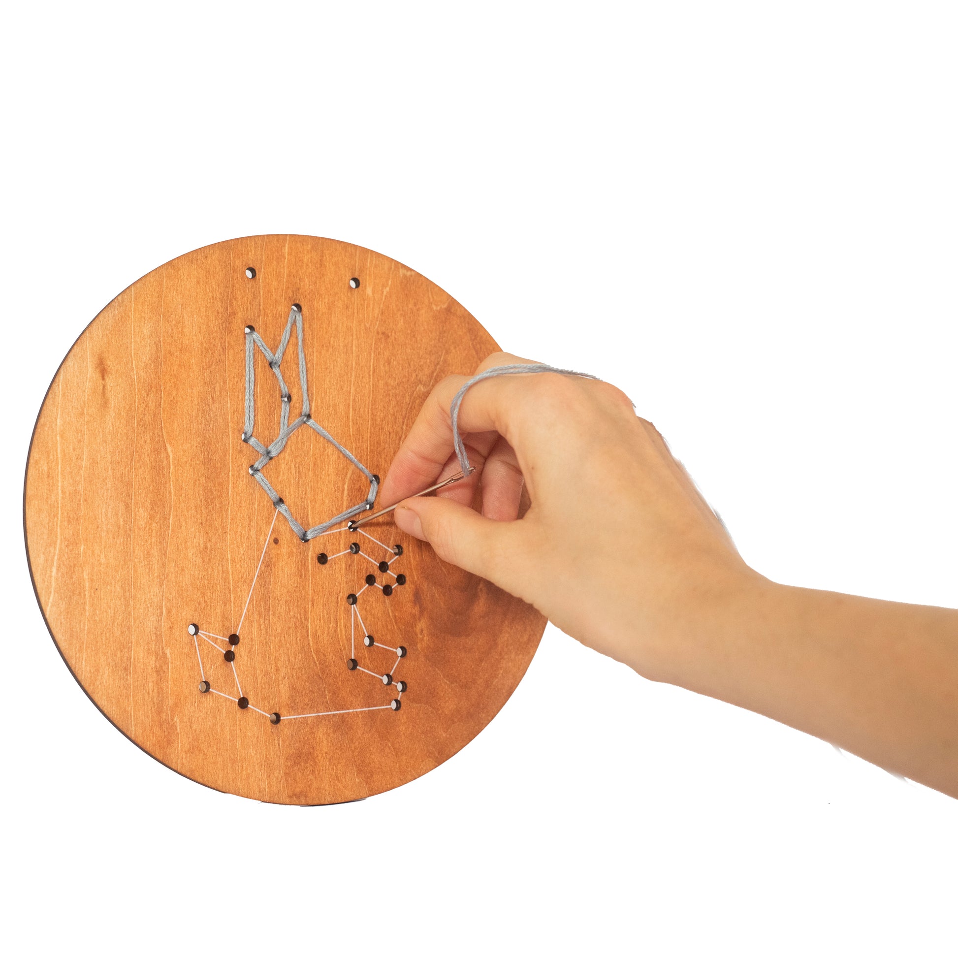 Wooden Embroidery Kit - Animals