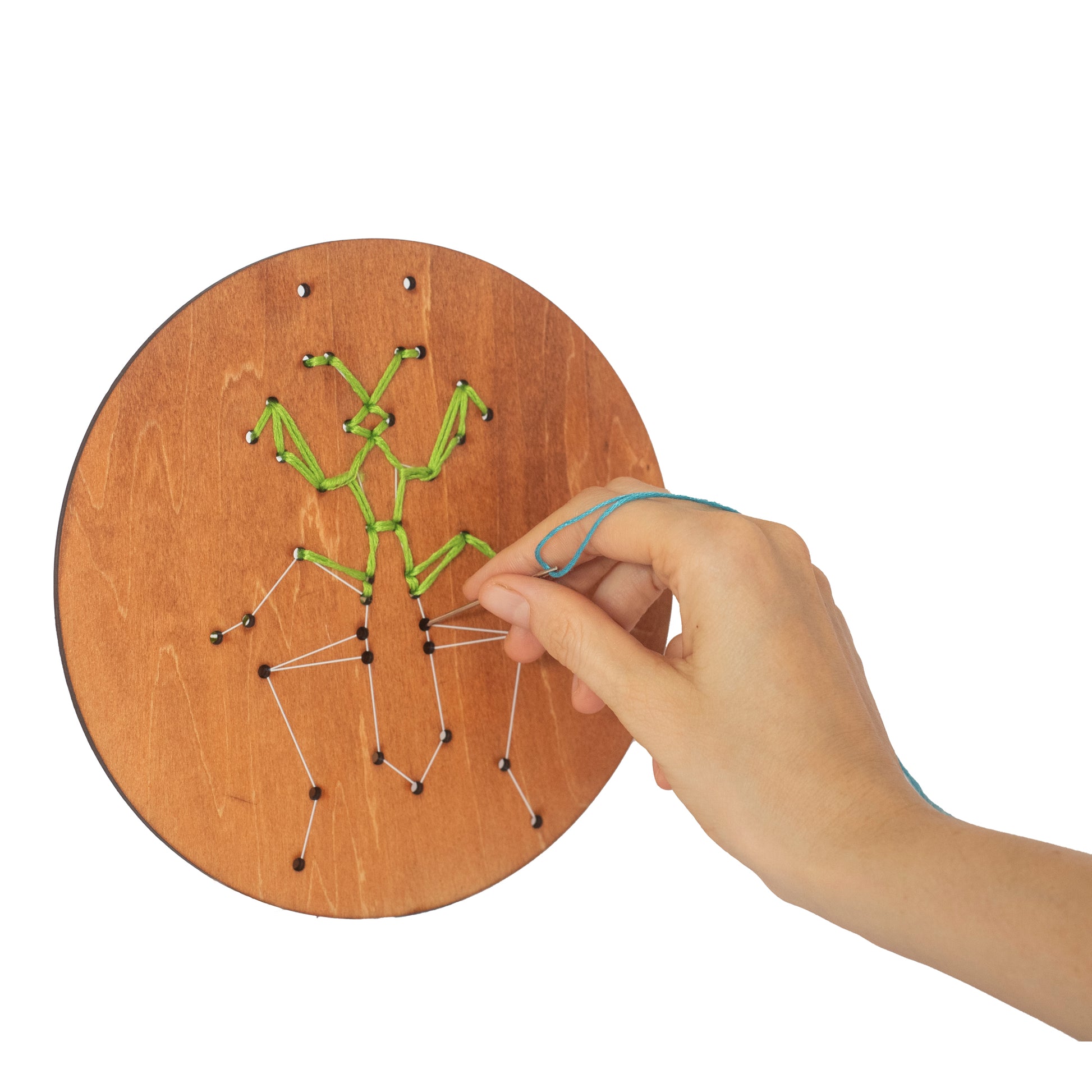 Wooden Embroidery Kit – Insects